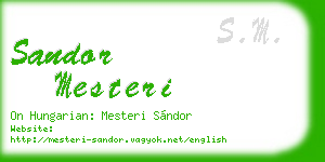 sandor mesteri business card